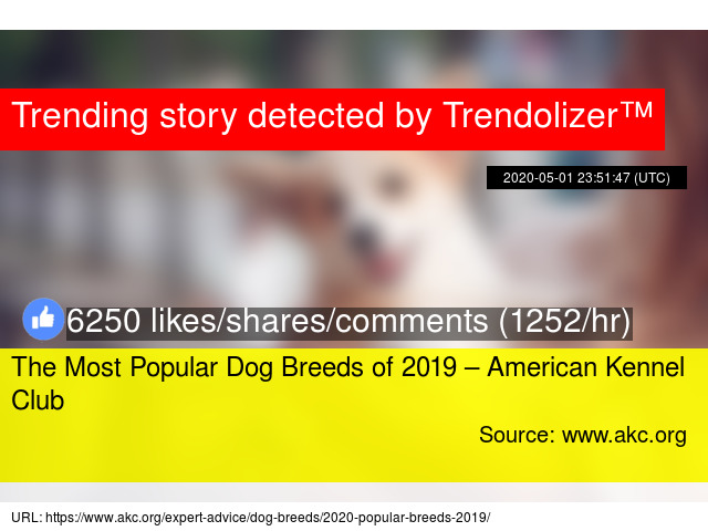 akc breed standings 2019