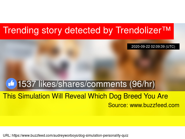 what dog breed are you buzzfeed